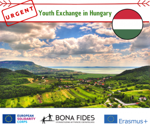 Youth Exchange in Hungary