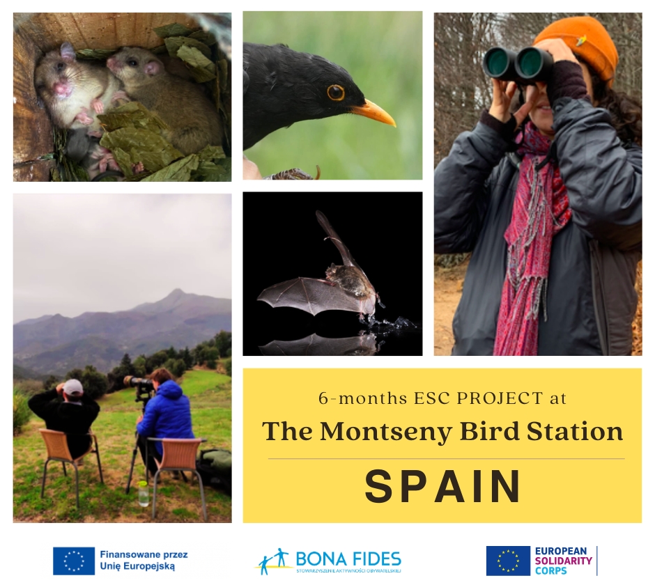 ESC in Fogars de Montclús, Spain