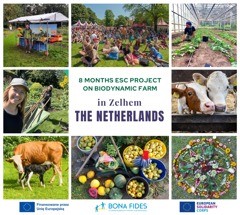 ESC in Zelhem, The Netherlands