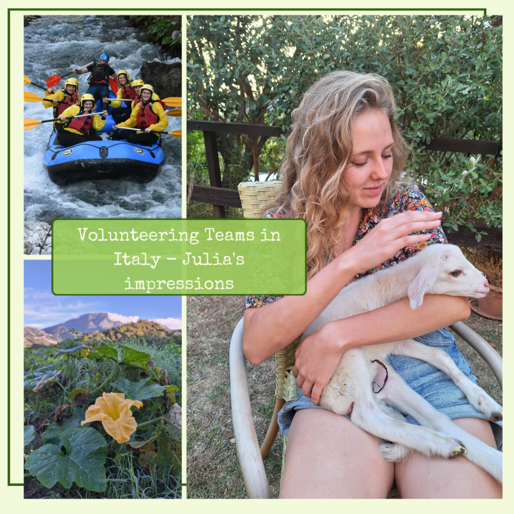 Volunteering Teams in Italy - Julia's impressions
